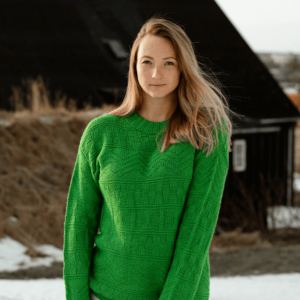 Þorgerður knitting kit